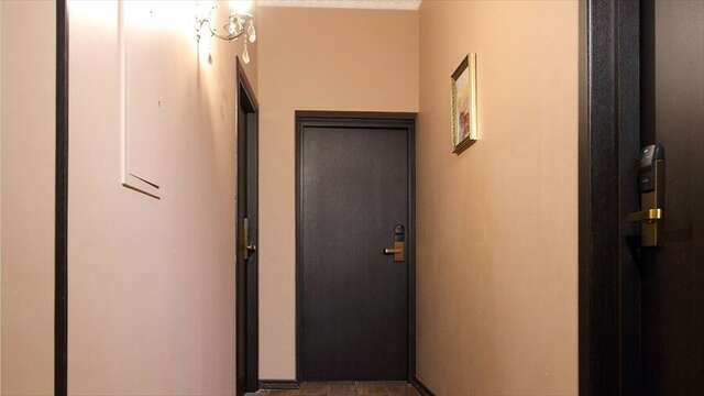 Гостиница Елисеефф Арбат Москва-6